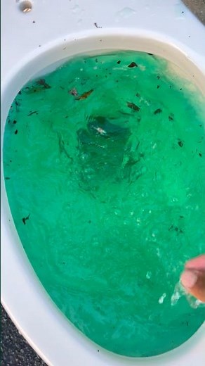 Kohler highline pressure lite toilet siphoning out with green water!!!