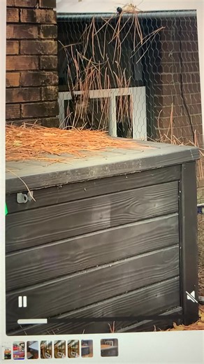 Yesterday there was an escape from Stalag 13 by Moses and Tres. They turned themselves in at dinner time and the Catio has been resecured! | Keith Earles