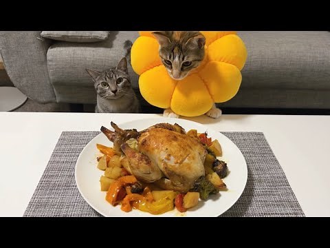 クリスマスなので猫にローストチキン作ってみた