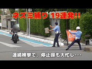 Violators one after another! Speeding violation enforcement.