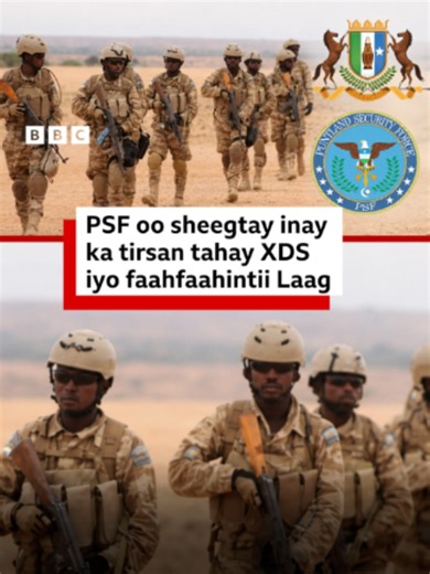 PSF: Warbixin ku saabsan hawlgalkeedii Laag iyo xiriirka Ciidanka Xoogga Dalka