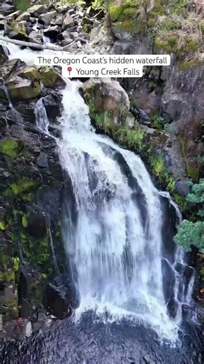 Astoria, Oregon’s secret waterfall nobody told you about | Young Creek Falls