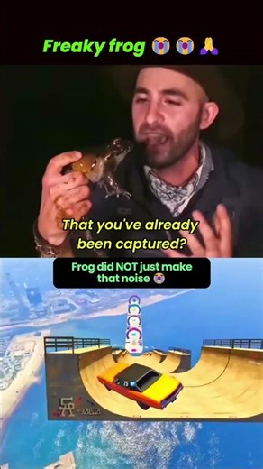 Le frogge 🐸