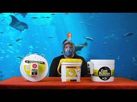 Live bait bucket review