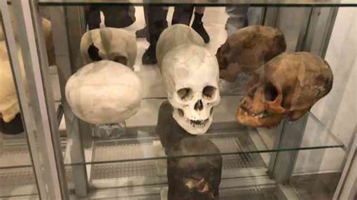 The Enigmatic Ancient Humanoid Skulls Of Paracas Peru
