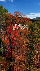 ALPINE LOOP UPDATE 9/22/25: Provo Canyon has amazing color right now! This weekend is perfect or a fall drive or hike! The leaves are stronger near Sundance Resort and will peak on the entire loop in the next week. 🍁 Remember to drive safe the roads can be steep and narrow. #alpineloop #fall #provo #provocanyon #utah | Explore Utah Valley