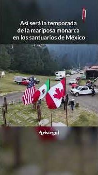Mariposa Monarca: Abren santuarios en Michoacán y Edomex hasta el 31 de marzo
