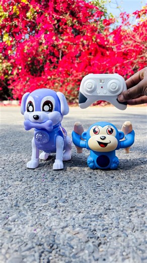 RC Toy Monkey vs Dog Remote Control Test 🔥😱