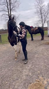 The BEST Trail Horses 🐎 | Free Spirit Equestrian