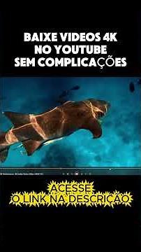 Como baixar vídeos do YouTube em até 4K ou converter para MP3