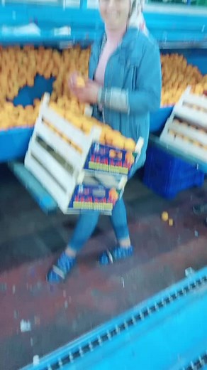 Fruit Processing Facility: A Day in the Life