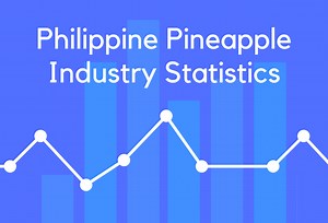 20 Philippine Pineapple Industry Statistics and Trends