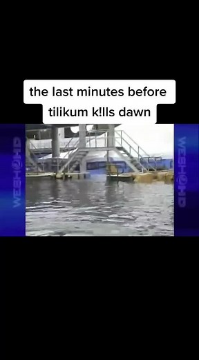R.I.P Dawn Brancheau✝️#sadstory #rip #dawnbrancheau #tilikum #closeseaworld #savetheorcas #blackfishdocumentary #fy #fyp #viral #foryou #sad