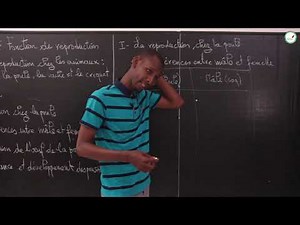 Course - Fifth - SVT: Reproduction in animals: hen, cow, cricket / M. Diallo