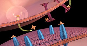 Explainer: What is dopamine?