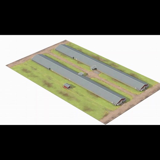 Prefab Poultry Farm Design: Durable Chicken Sheds