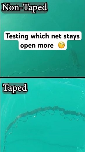 Tapped Cast Net versus Non-Taped Cast Net Comparison #castnet #shrimp #bait