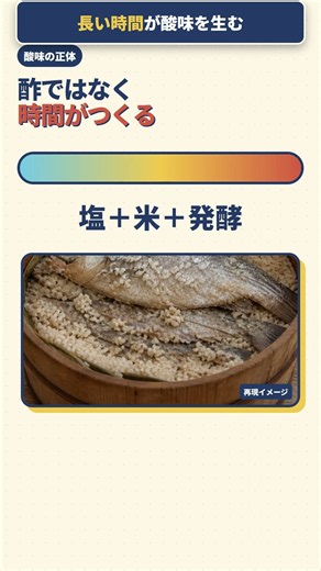 これは寿司？鮒ずしは「魚を守る発酵技術」だった！ #Shorts