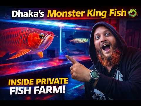 Inside Dhaka’s Monster Fish Farm 🐉 | Super Red Arowana, Channa, Oscar, Flowerhorn & More