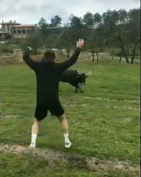 【おもしろ動画】全生物が逃げる動き