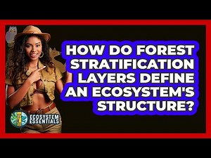 How Do Forest Stratification Layers Define An Ecosystem's Structure? - Ecosystem Essentials