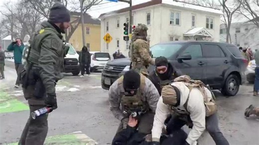 Border Patrol Agent Deploys Pepper Spray Directly in Face of Pinned Protester