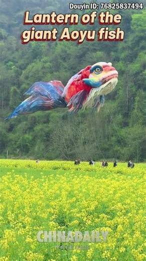 Lantern of the giant Aoyu fish