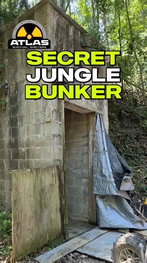 1.4M views · 26K reactions | Secret Jungle Bunker! #shelter...