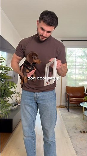 Making My Home More Puppy-Friendly – Dog Door Install