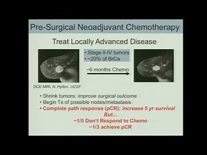 Bruce Tromberg presentation: Diffuse Optical Methods for Assessing Breast Cancer Chemotherapy