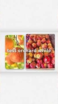 Every Apple Explained - Honeycrisp