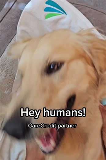 Get the health and wellness you deserve with easy payment options at in-network locations with the CareCredit credit card. | CareCredit