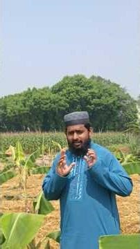 কলা ও কুমড়া এক জমিতে | লাভজনক মিশ্র চাষBanana Pumpkin Intercropping | Low Cost High Profit #sydoagro