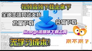 强大且免费-视频下载工具分享，批量、合辑下载。视频、音乐都搞定。