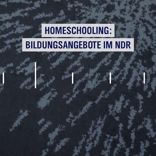 Ob Mathe, Geschichte, Musik oder sogar Sport – der NDR hat spannendene Angebote für das Lernen im Lockdown parat. 🎓 | NDR Fernsehen