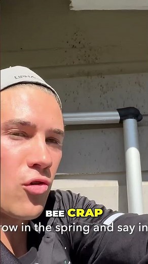 Carpenter Bee Infestation Signs & Treatment Secrets