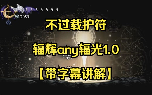 【授权搬运】不过载护符辐辉any辐光1.0【带字幕讲解】by dark