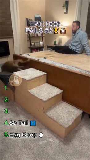 EPIC DOG FAILS #2 🏆🐶
