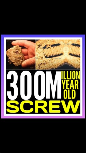 Forbidden truth on Instagram: "🔴 In the rocky surface of ancient stone, a peculiar shape emerges: a spiral formation that strikingly resembles a modern screw. Some claim it to be a 300-million-year-old artifact, evidence of advanced technology long before humanity existed. Others, grounded in science, argue it is simply a crinoid fossil-an ancient marine creature whose stems left behind screw- like impressions in stone. 🔺 The mystery lies at the intersection of geology and imagination, sparkin