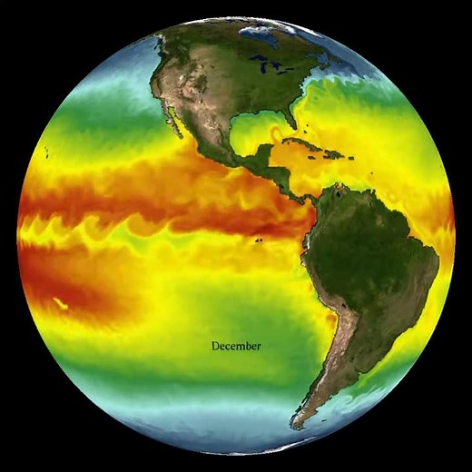 GFDL Global Sea Surface Temperature Model