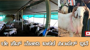 Kannada Nudi on Reels