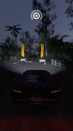 Danger sign in Forza Horizon