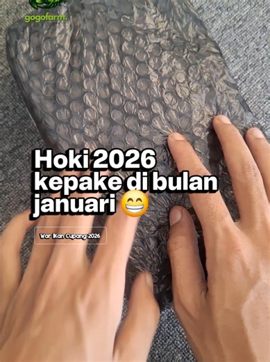 Mendapatkan Ikan Cupang Mahal dan Langka dengan Harga Terjangkau