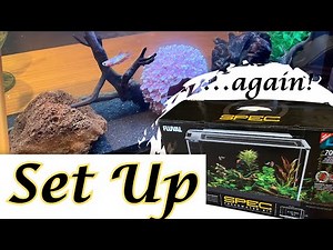 Setting Up The Fluval Spec 5 ... Again!