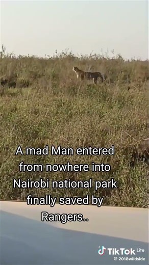 mad man VS lions