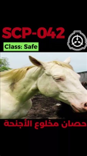 SCP-042 - الحصان الذي يتذكر السماء #shorts