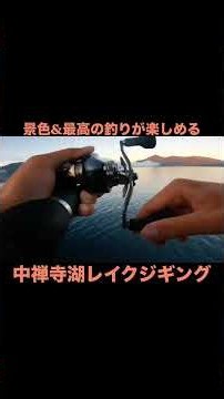このロケーションで釣れる魚。言葉で表せられない興奮がある。#blueblue #fishing #釣り #レイクジギング #中禅寺湖