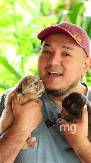 🐶 Los Primeros 30 Días de un Bulldog Francés