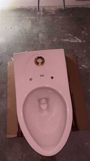 Instalación de toilets comerciales ❤️©️que más quieren allá fuera deceo comvertir este canal en un aprendizaje gratuito 💚#LIVEIncentiveProgram #JustGoLIVE #PaidPartnership