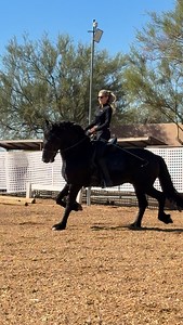 Riding on a Dream … Thank you @macy_mendyke & @wendywmtart for letting me ride Black Beauty today 🥹 | Hannah Hammond